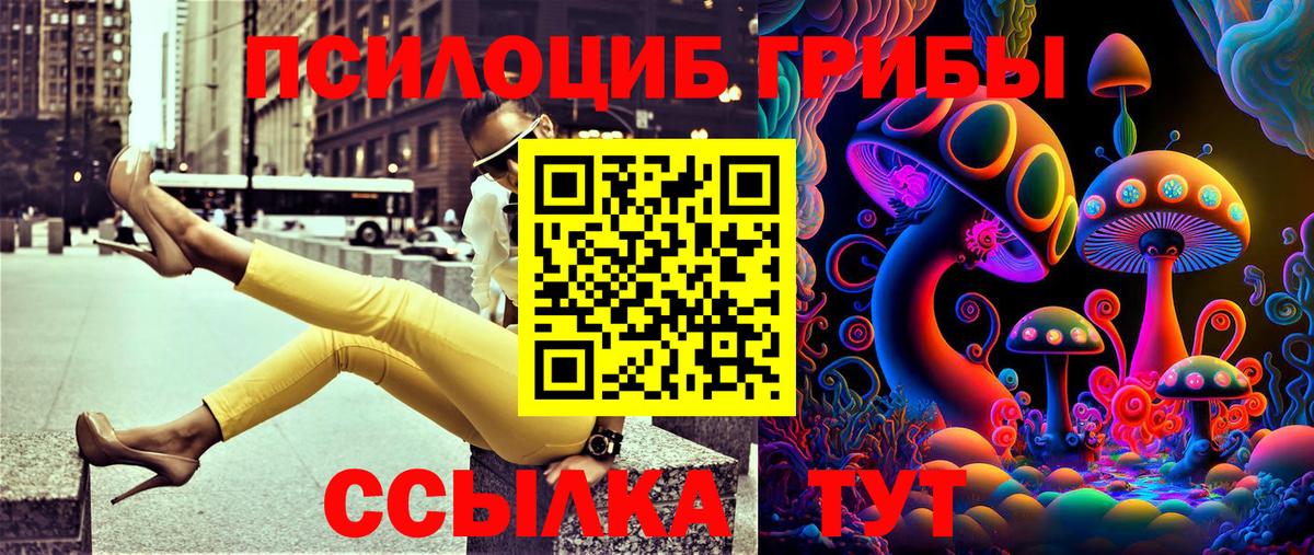 Туймазы  Галлюциногенные грибы Psilocybe  Псилоцибиновые грибы Psilocybe  Вход с VPN 